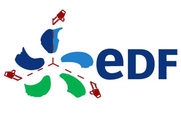 ARENH : entre confusion des pertes et manque à gagner, une éternelle rengaine pour EDF.