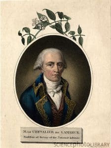 « On ne sait plus si c’est la fonction qui crée l’organe ou l’organe qui crée la fonction » – Jean-Baptiste de Lamarck (1744-1829).