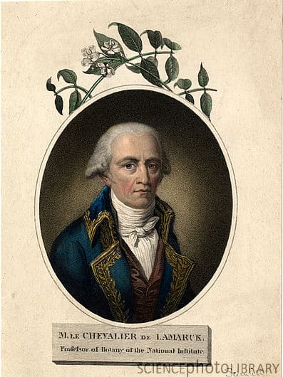 « On ne sait plus si c’est la fonction qui crée l’organe ou l’organe qui crée la fonction » – Jean-Baptiste de Lamarck (1744-1829).